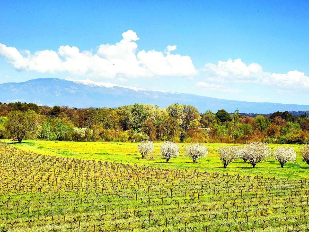 Domaine De La Brave